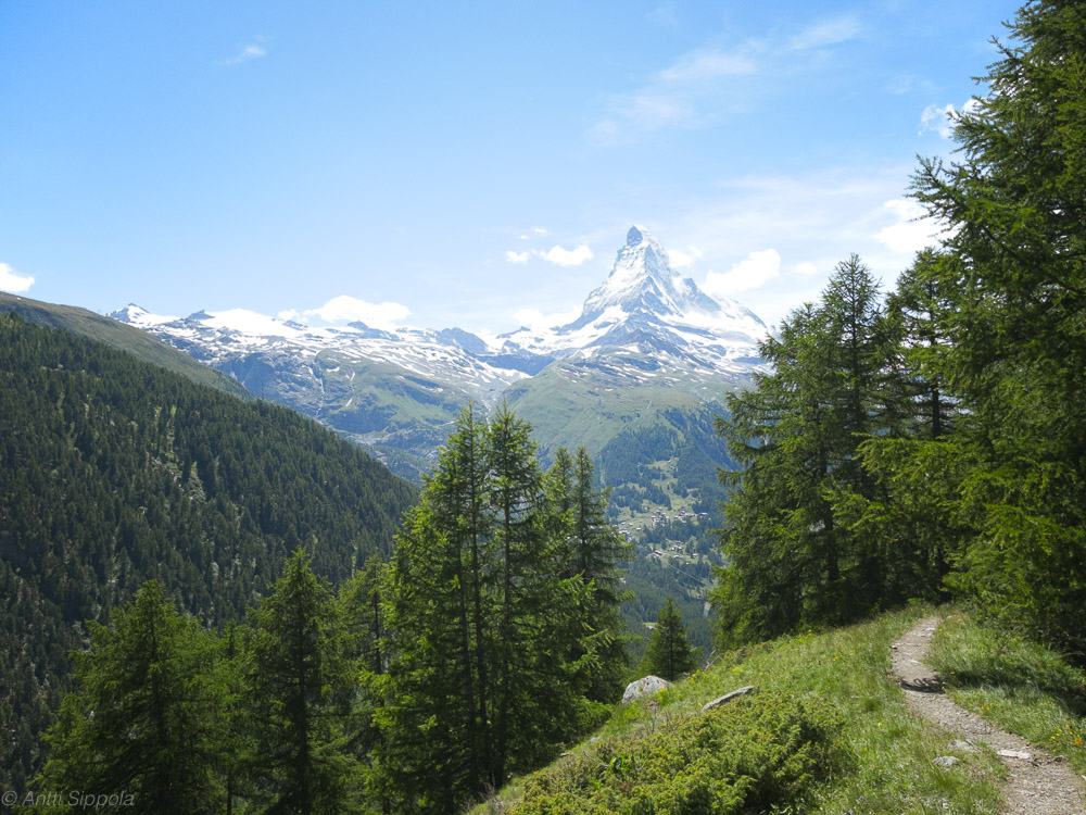 A view of the Matterhorn from a trail.